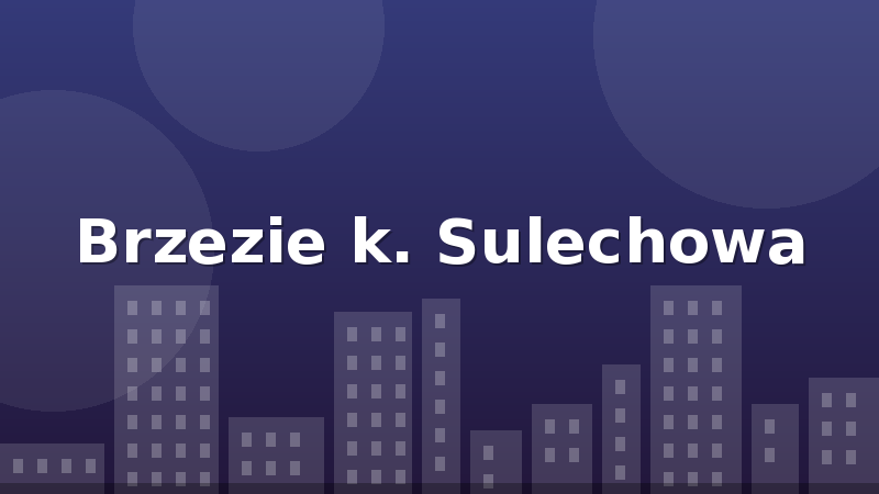 Brzezie k. Sulechowa